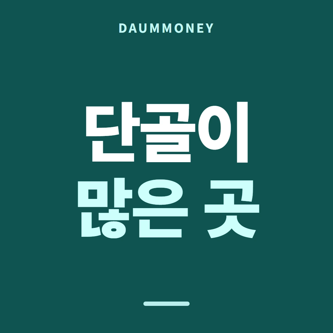 다음머니 카드깡수수료 중간 요인 안내 배너
